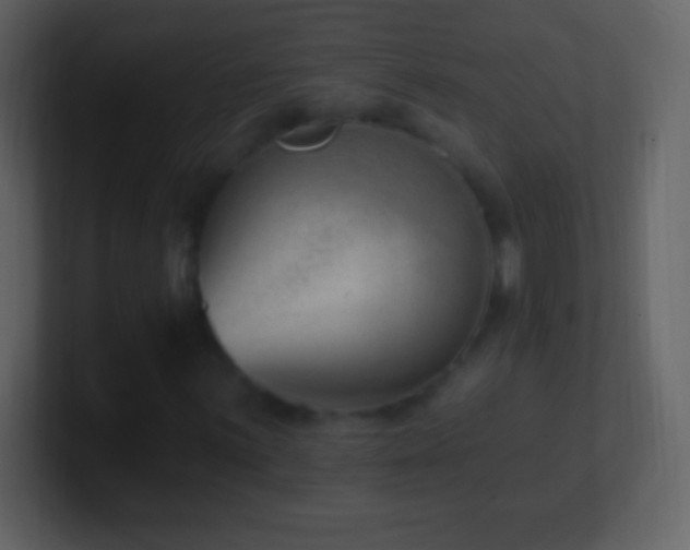 X0000101421059200807071311