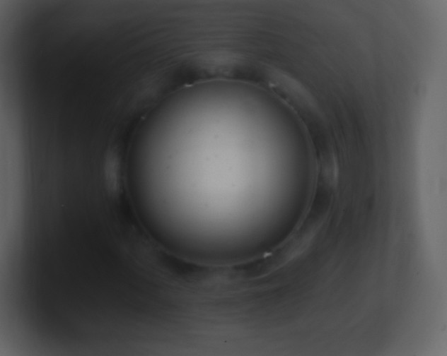 X0000101421060200807071311