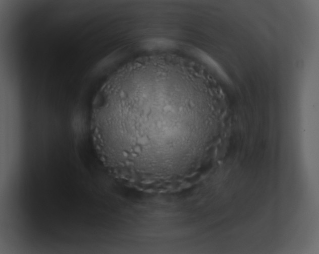 X0000101421063200807071311