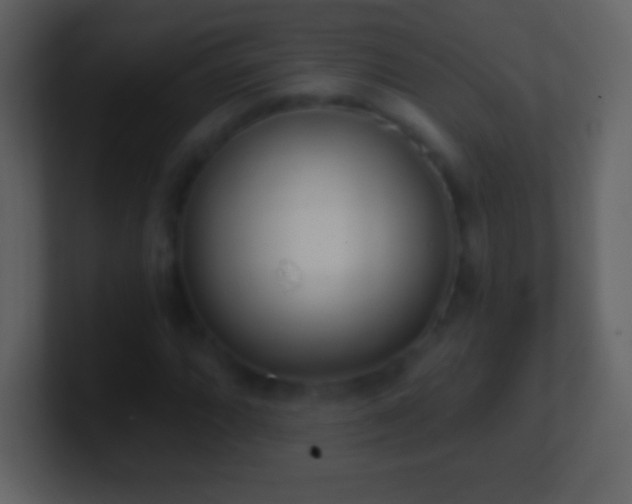 X0000101421064200807071311