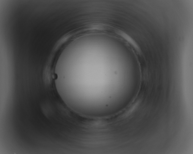 X0000101421067200807071311