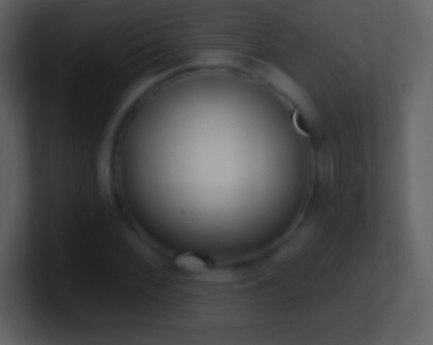 X0000101421068200807071311