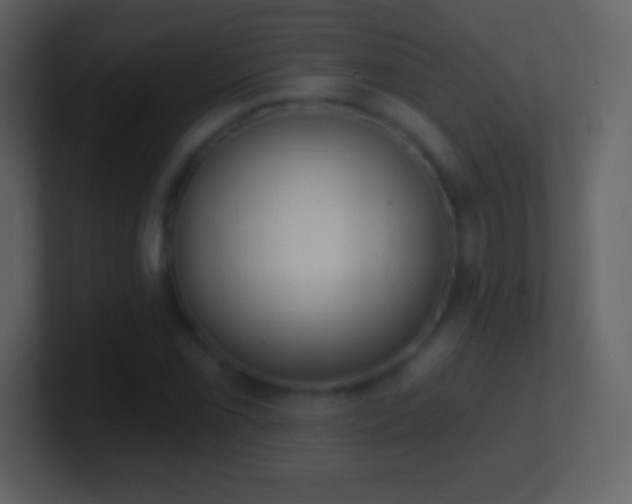 X0000101421069200807071311
