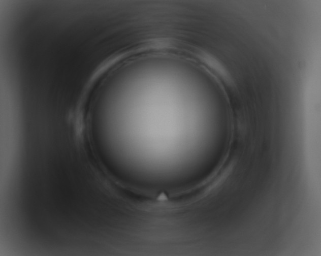 X0000101421070200807071311