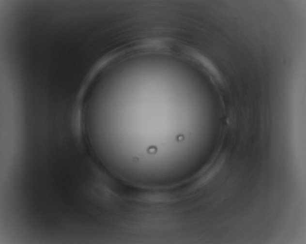 X0000101421075200807071311