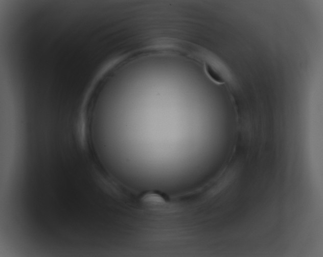 X0000101421076200807071311