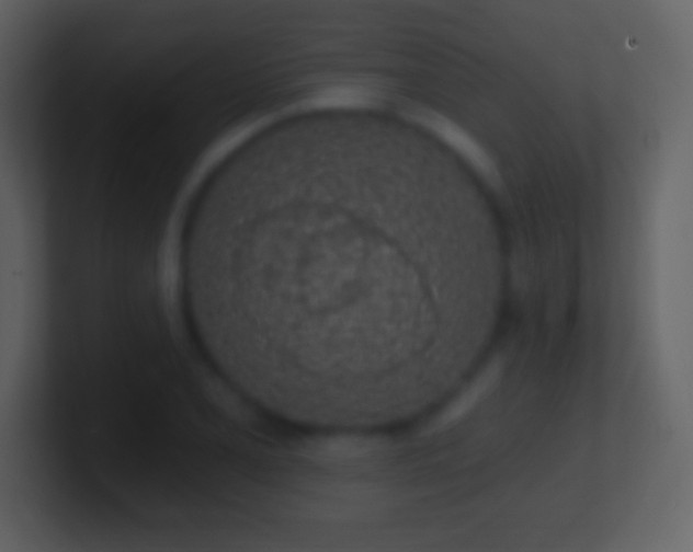 X0000101421077200807071311