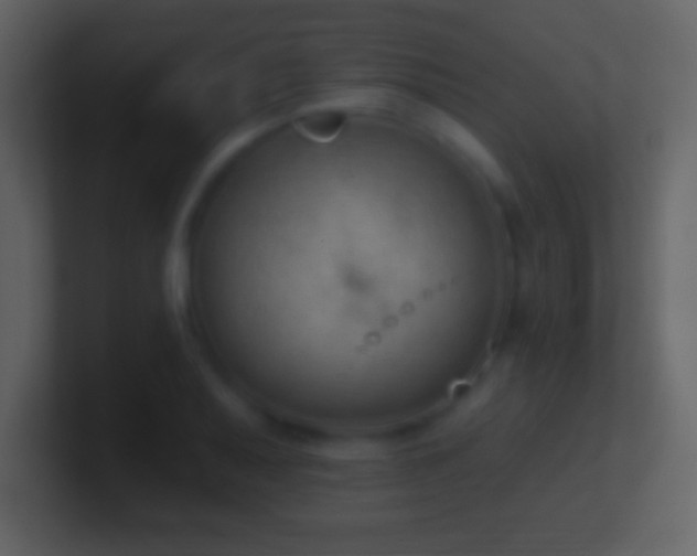 X0000101421079200807071311