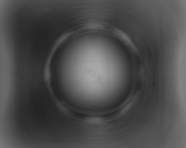 X0000101421082200807071311