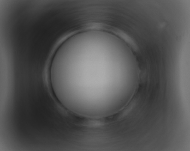 X0000101421086200807071311