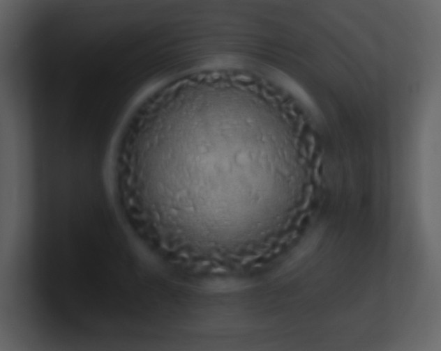 X0000101421087200807071311