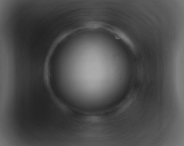 X0000101421088200807071311