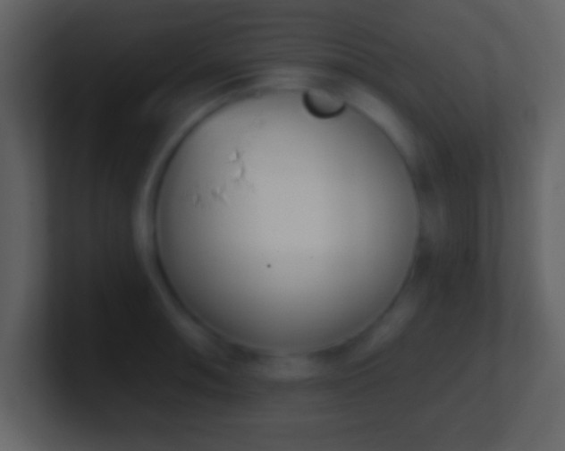 X0000101421090200807071310