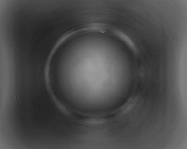 X0000101421091200807071310
