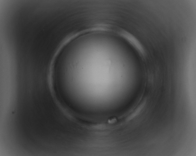 X0000101421093200807071310