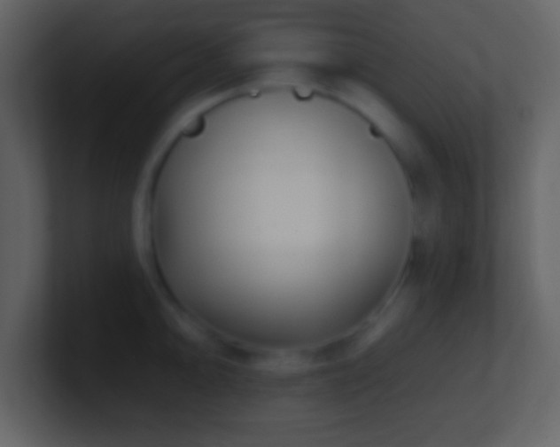 X0000101421094200807071310