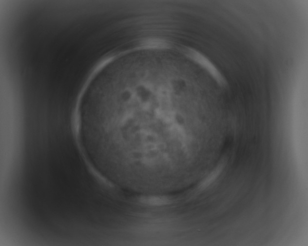 X0000101421095200807071310