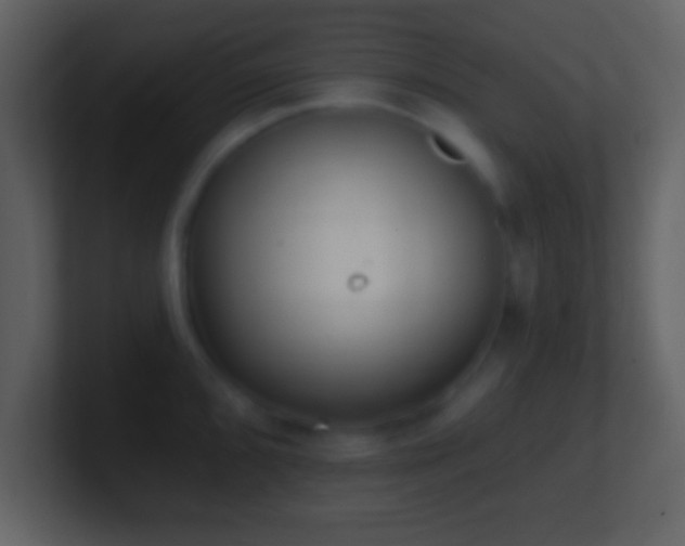 X0000101421096200807071310
