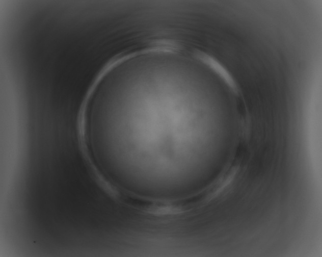 X0000101421099200807071310