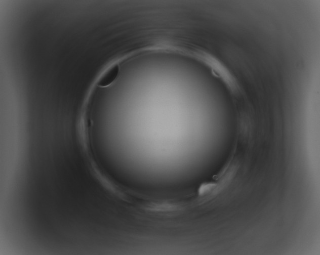 X0000101421100200807071310