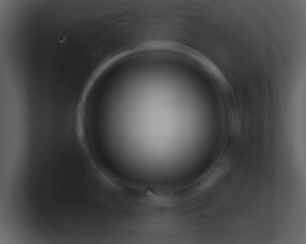 X0000101421102200807071310