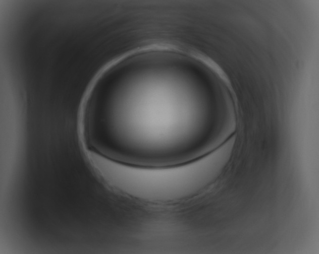 X0000101421104200807071310