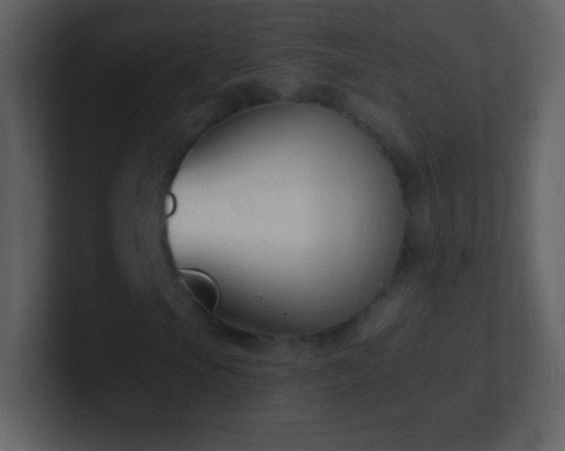 X0000101421105200807071310