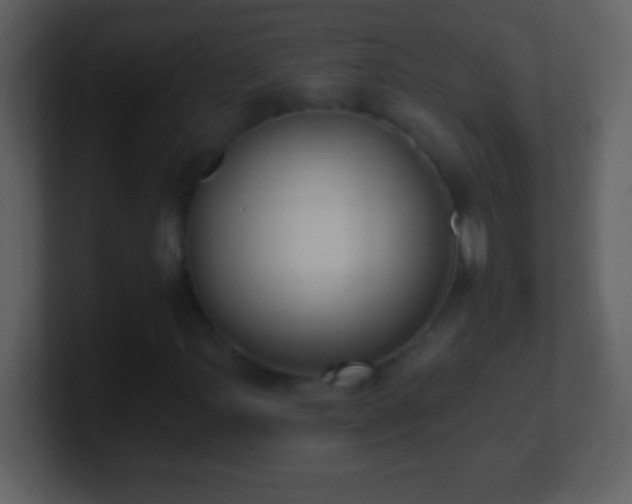 X0000101421107200807071310