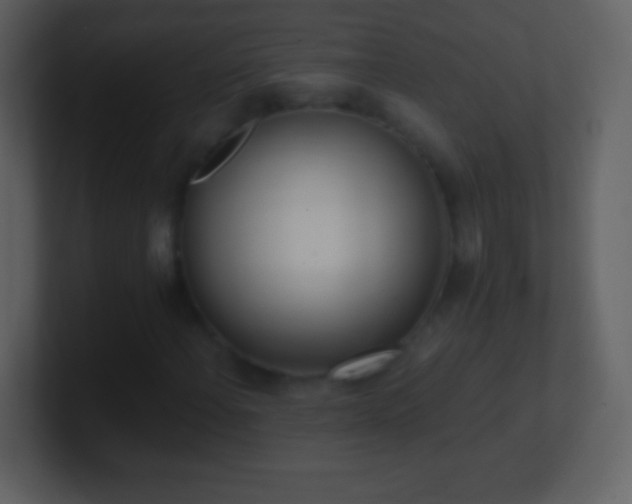 X0000101421108200807071310