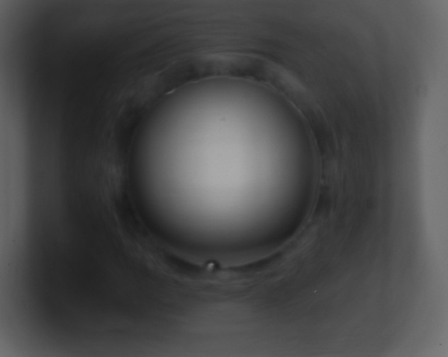 X0000101421109200807071310