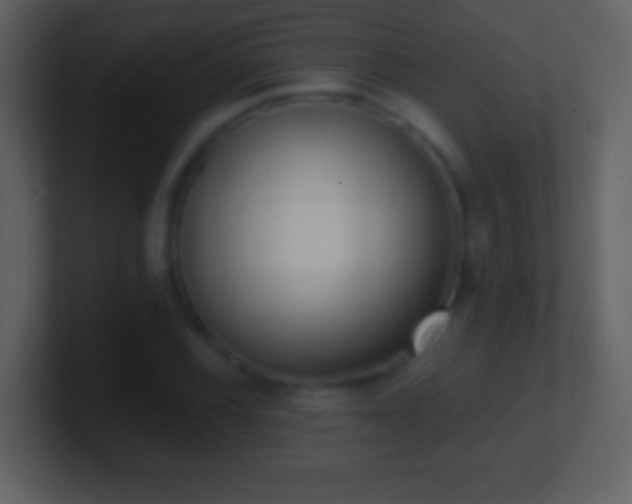 X0000101421116200807071310