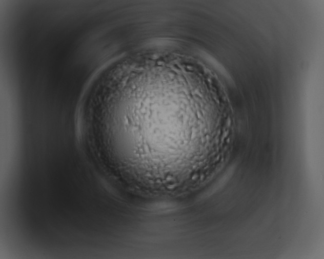 X0000101421117200807071310