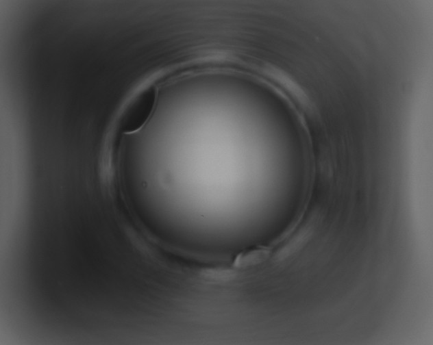 X0000101421118200807071310