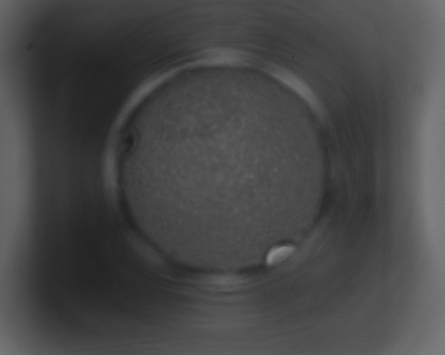 X0000101421120200807071310