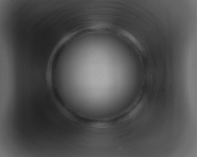 X0000101421122200807071310