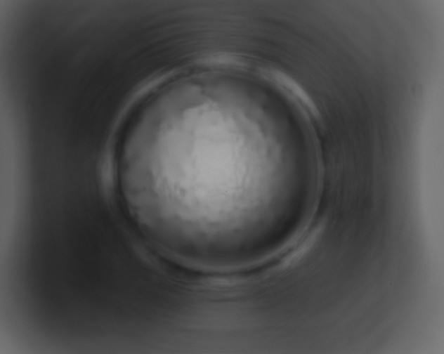 X0000101421125200807071310