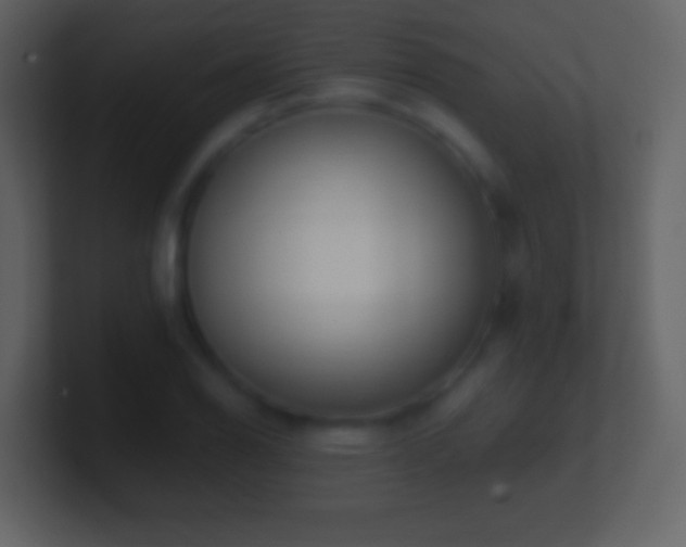 X0000101421126200807071310