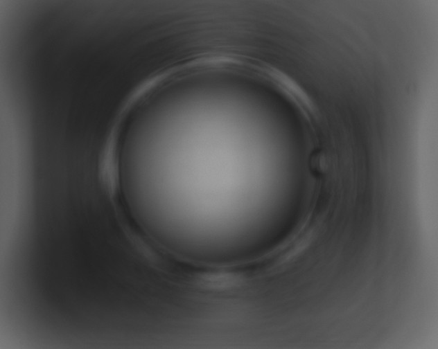 X0000101421127200807071310