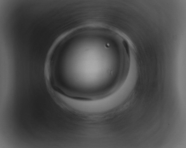 X0000101421128200807071310