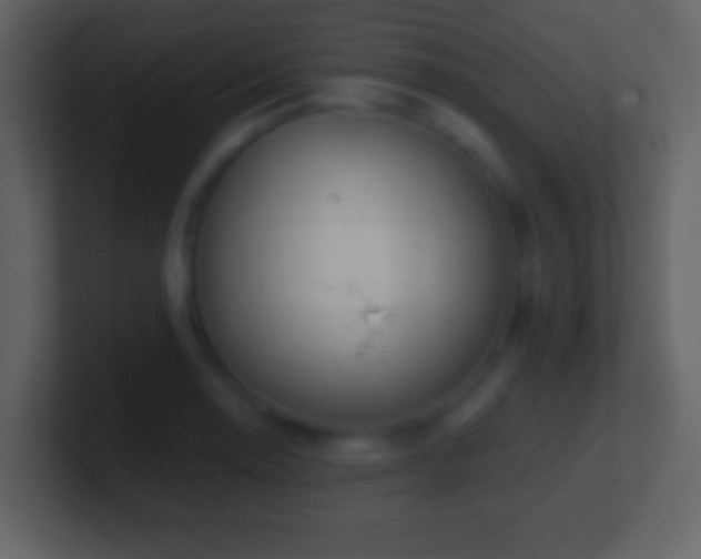 X0000101421130200807071310