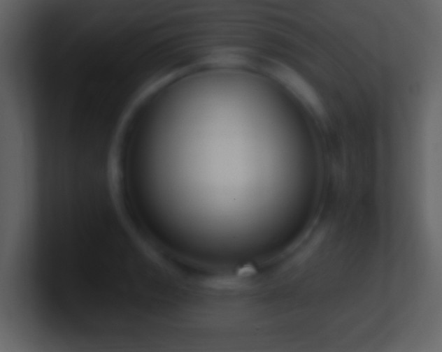 X0000101421133200807071310