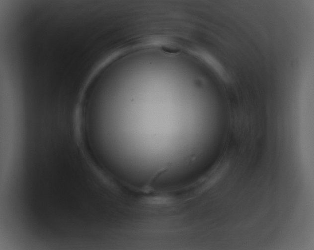 X0000101421134200807071310