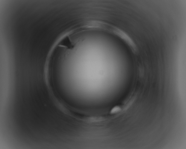 X0000101421138200807071310