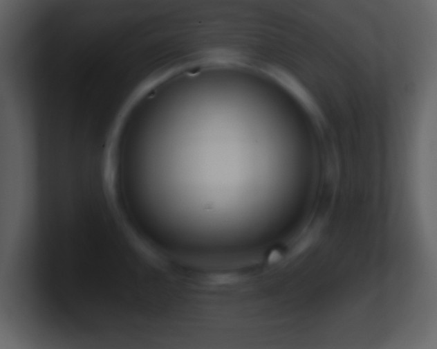 X0000101421144200807071310