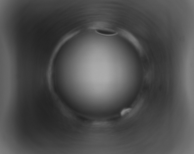 X0000101421146200807071310