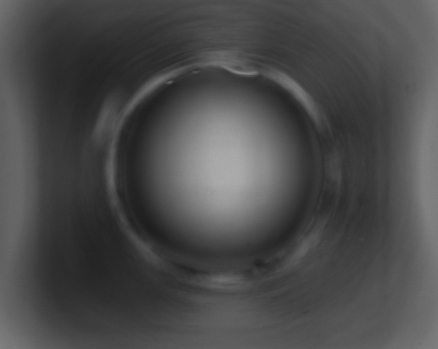X0000101421147200807071310
