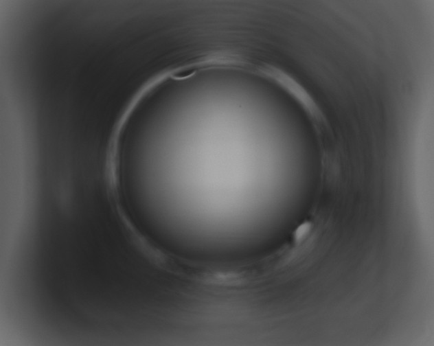 X0000101421148200807071310