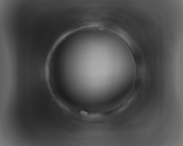 X0000101421151200807071310