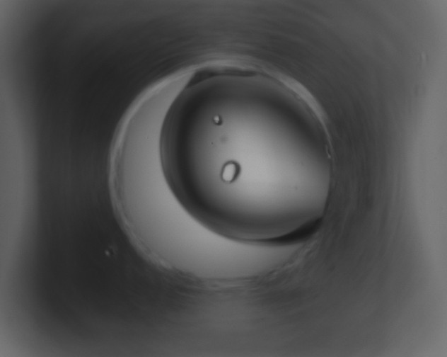 X0000101421152200807071310