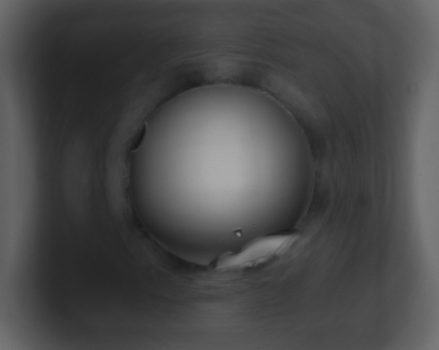 X0000101421153200807071310